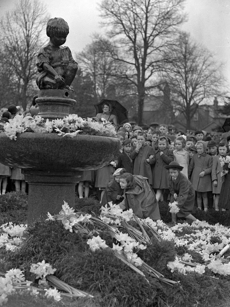 Laying Daffodils at Silloth