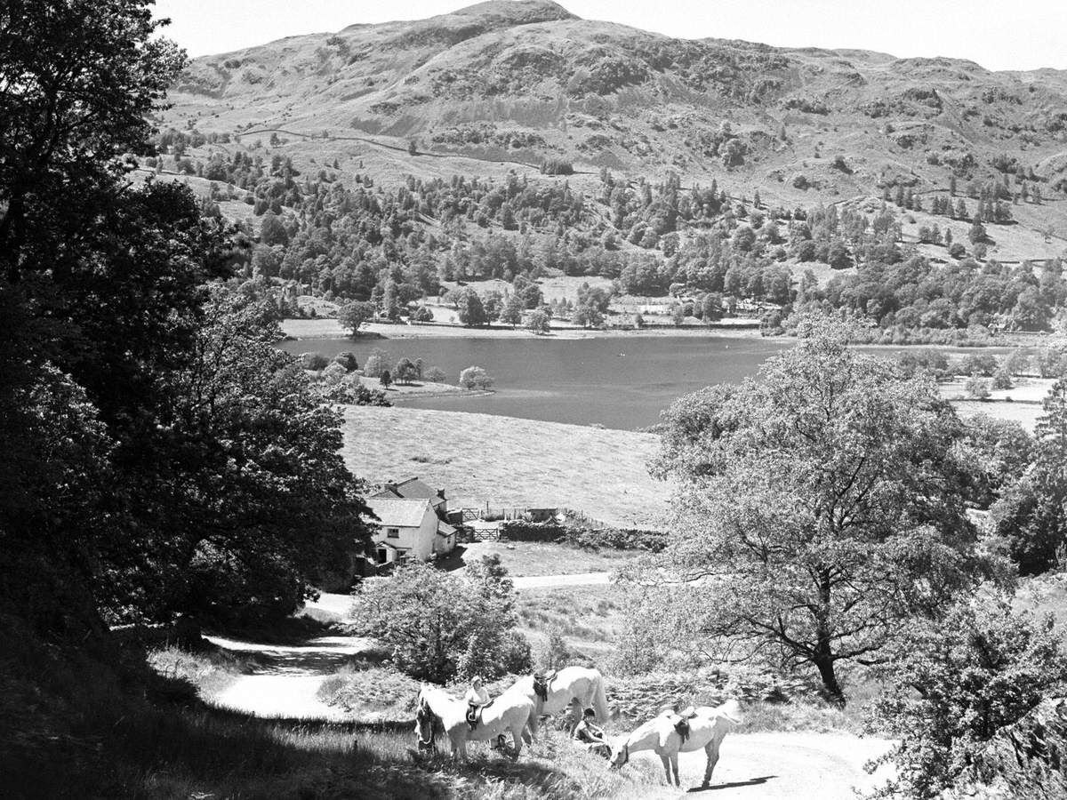 Pony Trekking