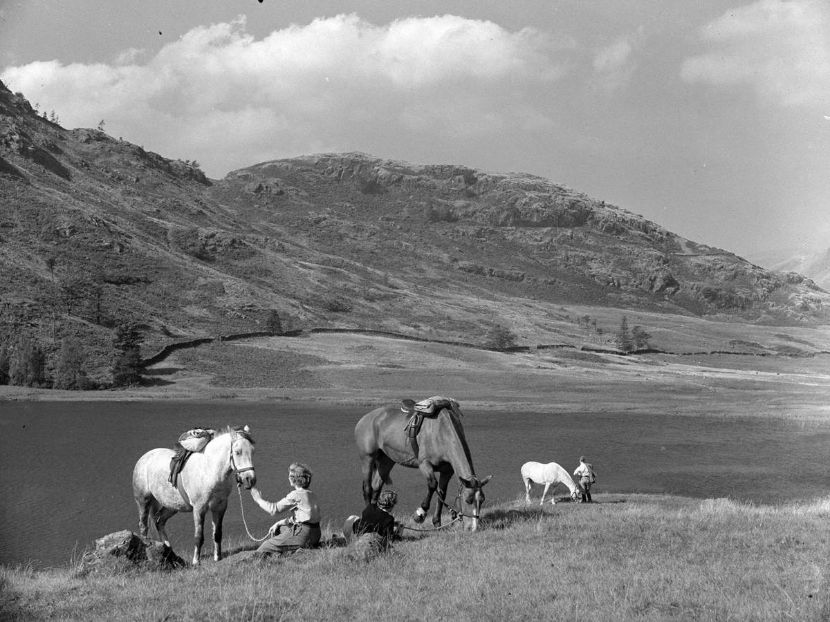 Pony Trekking