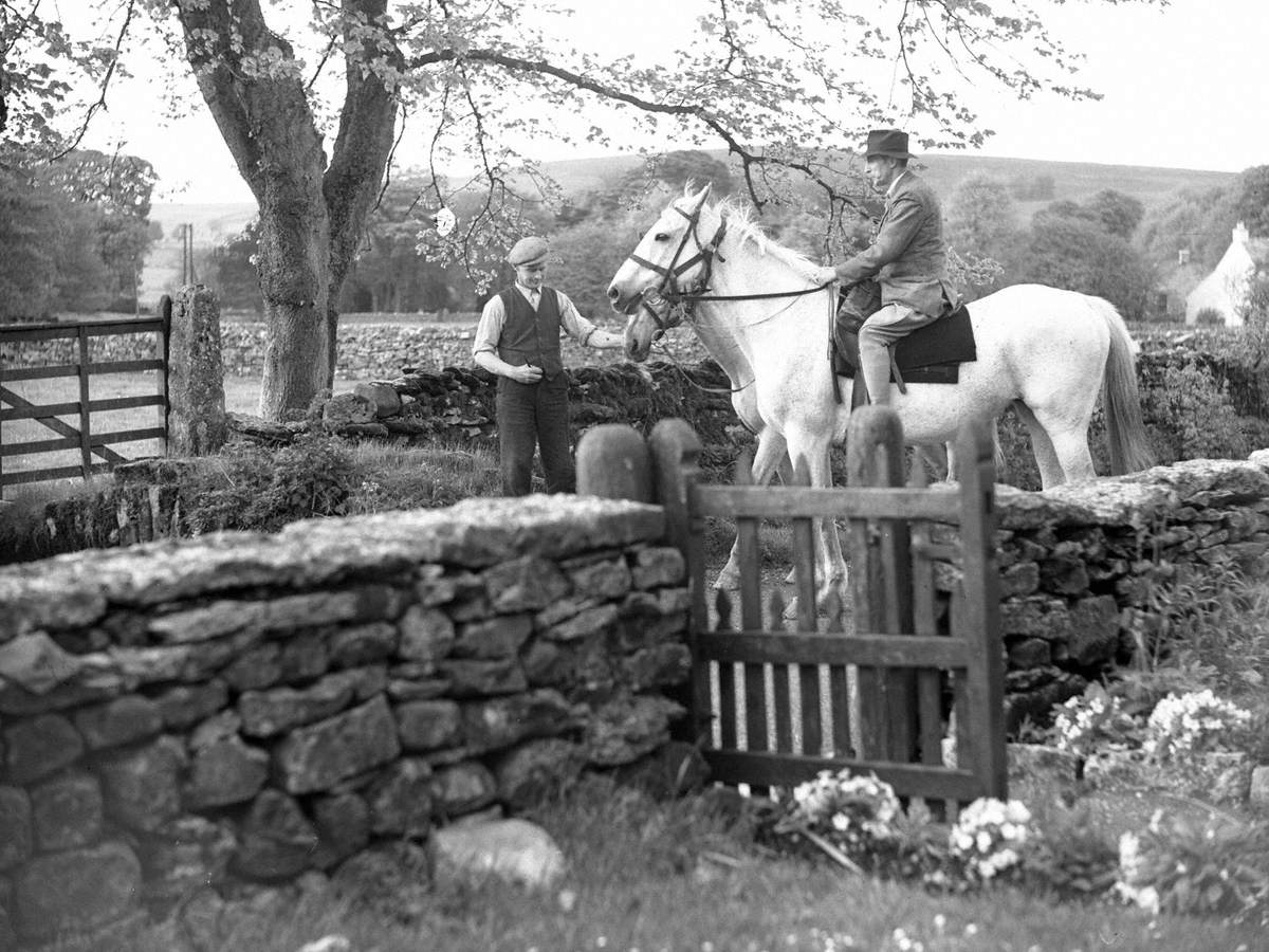 Jonty Wilson Riding