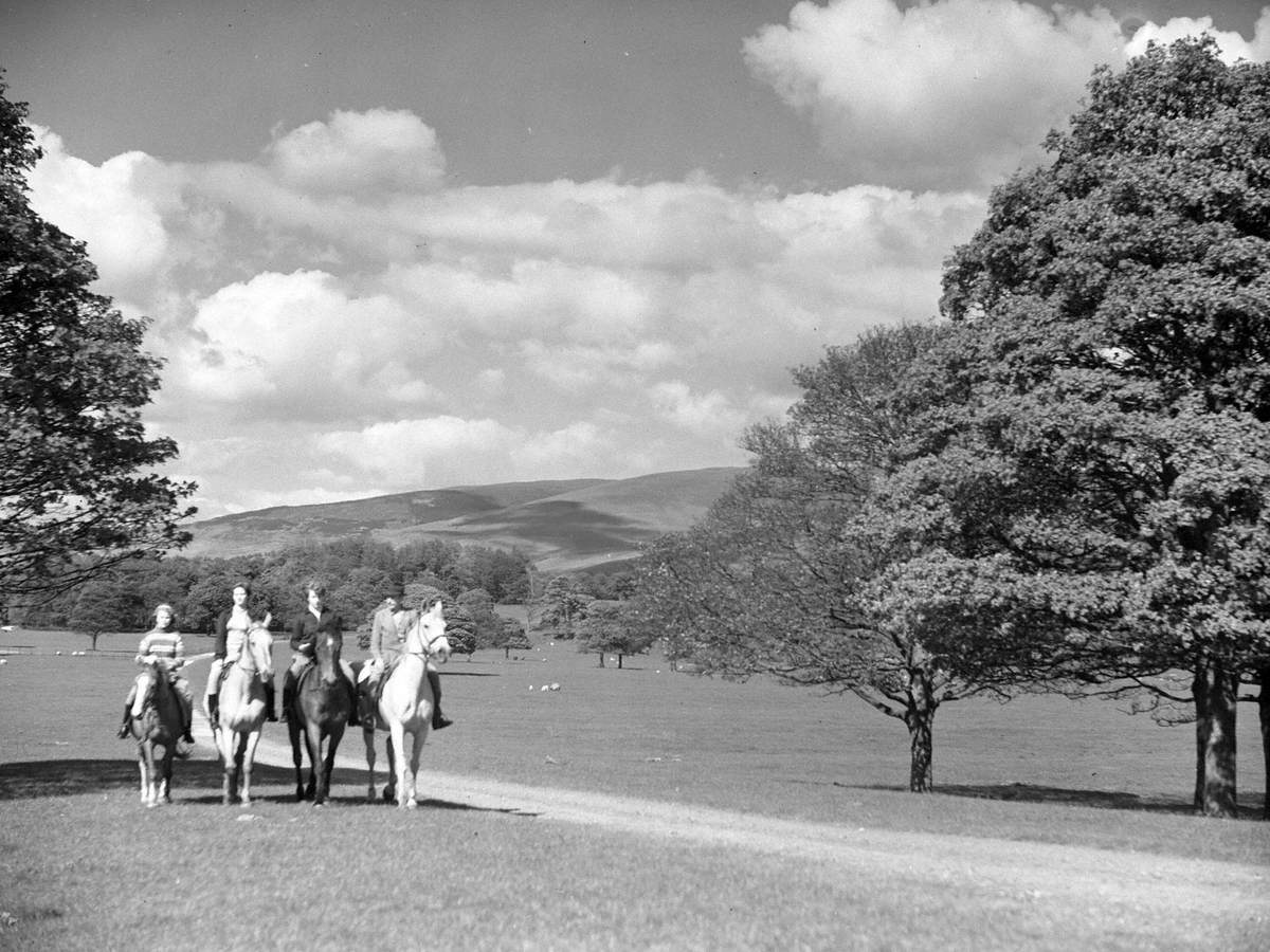 Horse Riding
