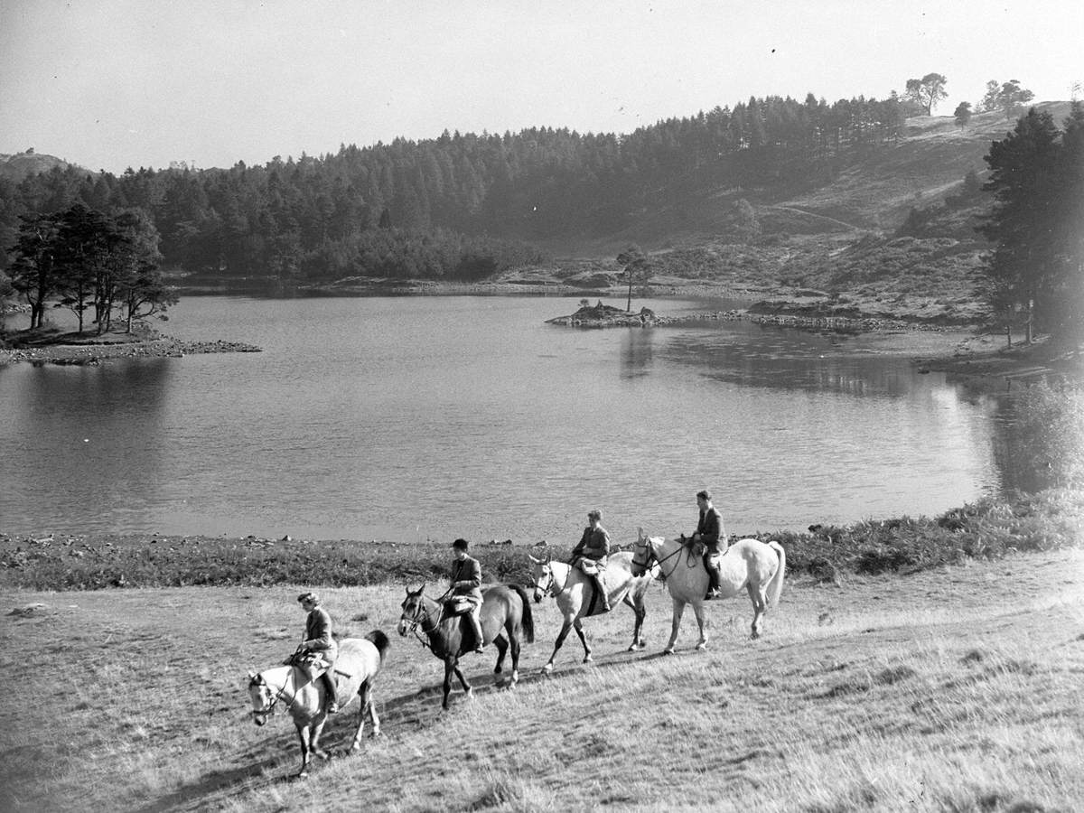 Pony Trekking next to Lake