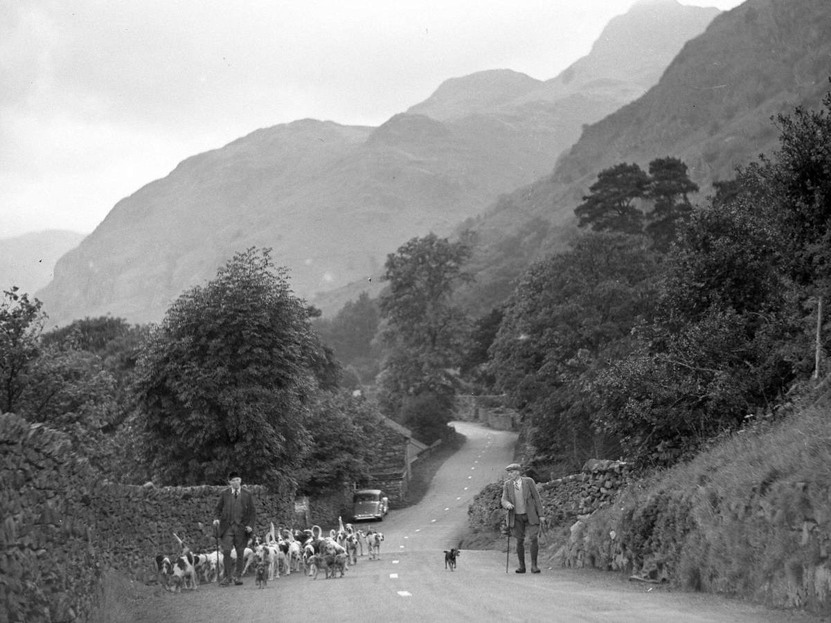 Coniston Foxhounds at Langdale