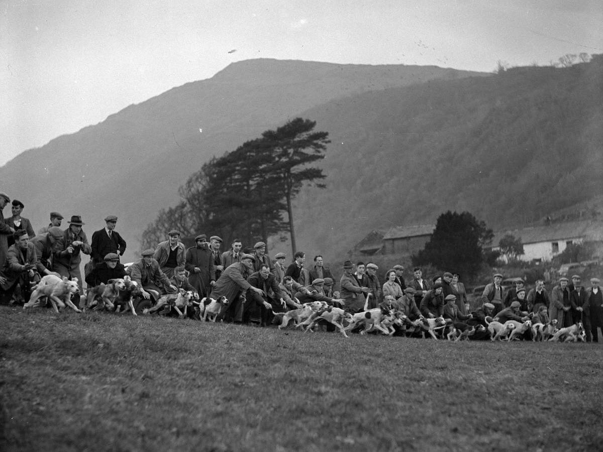 Hound Trail Start