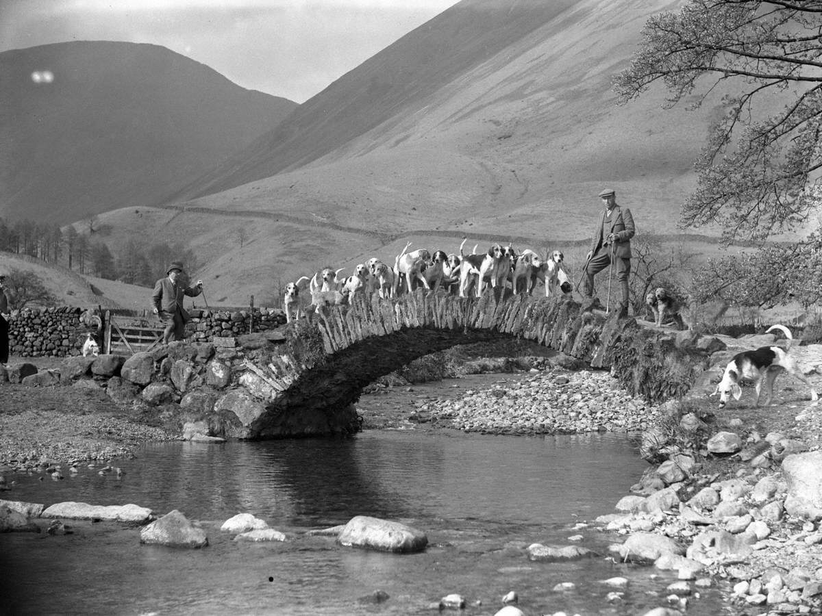 Eskdale and Ennerdale Hounds