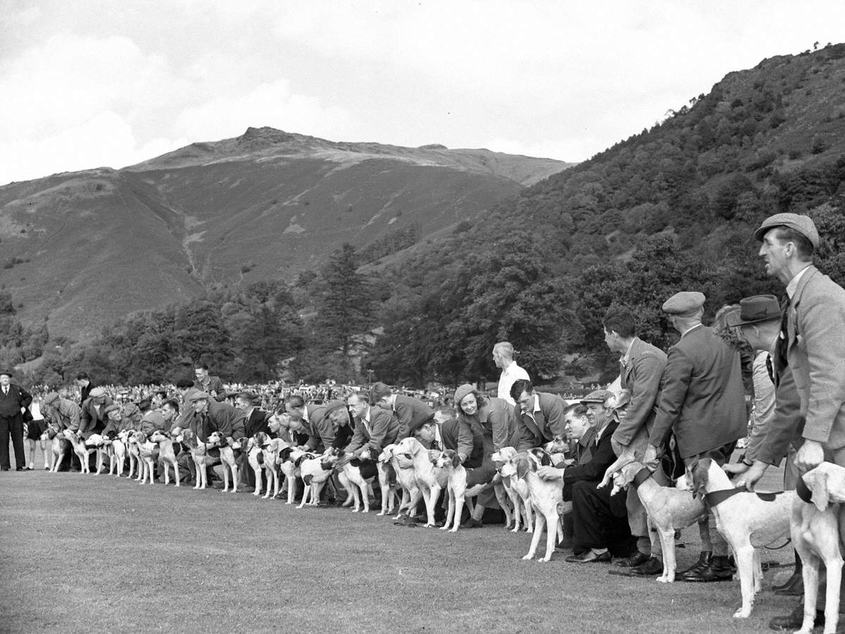 Hound Trail Start