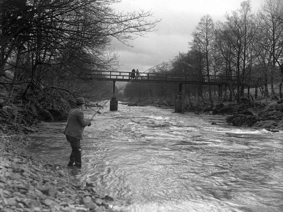 Man Fishing in River Lune