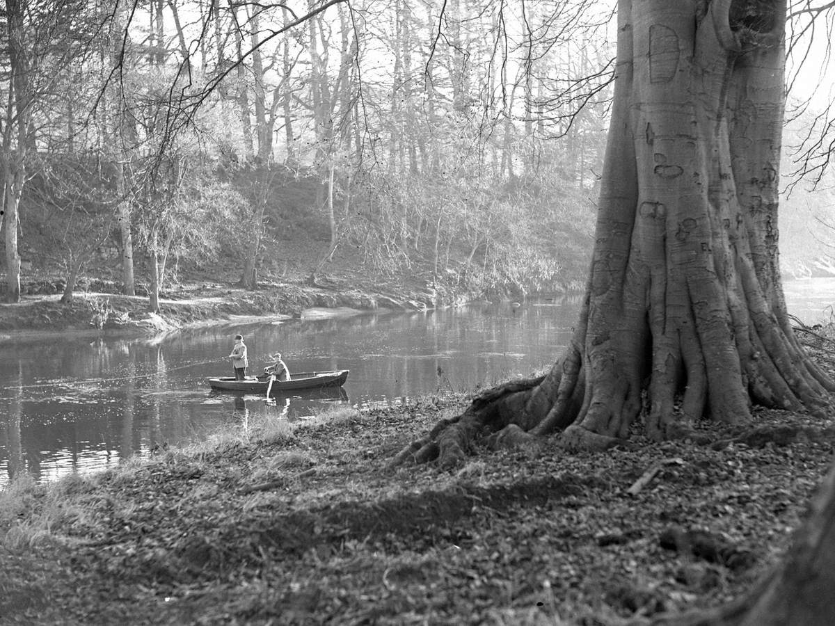 Fishing at Eden