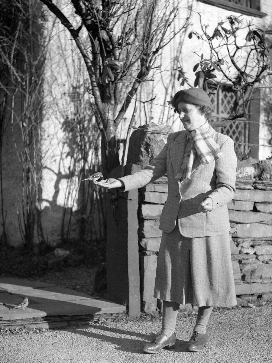 Feeding Birds at Dove Cottage