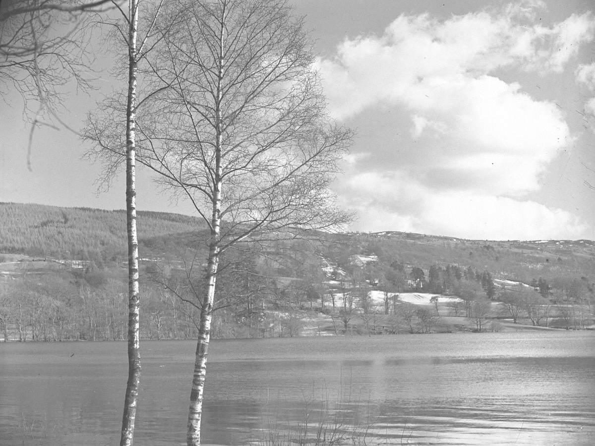 Coniston Water