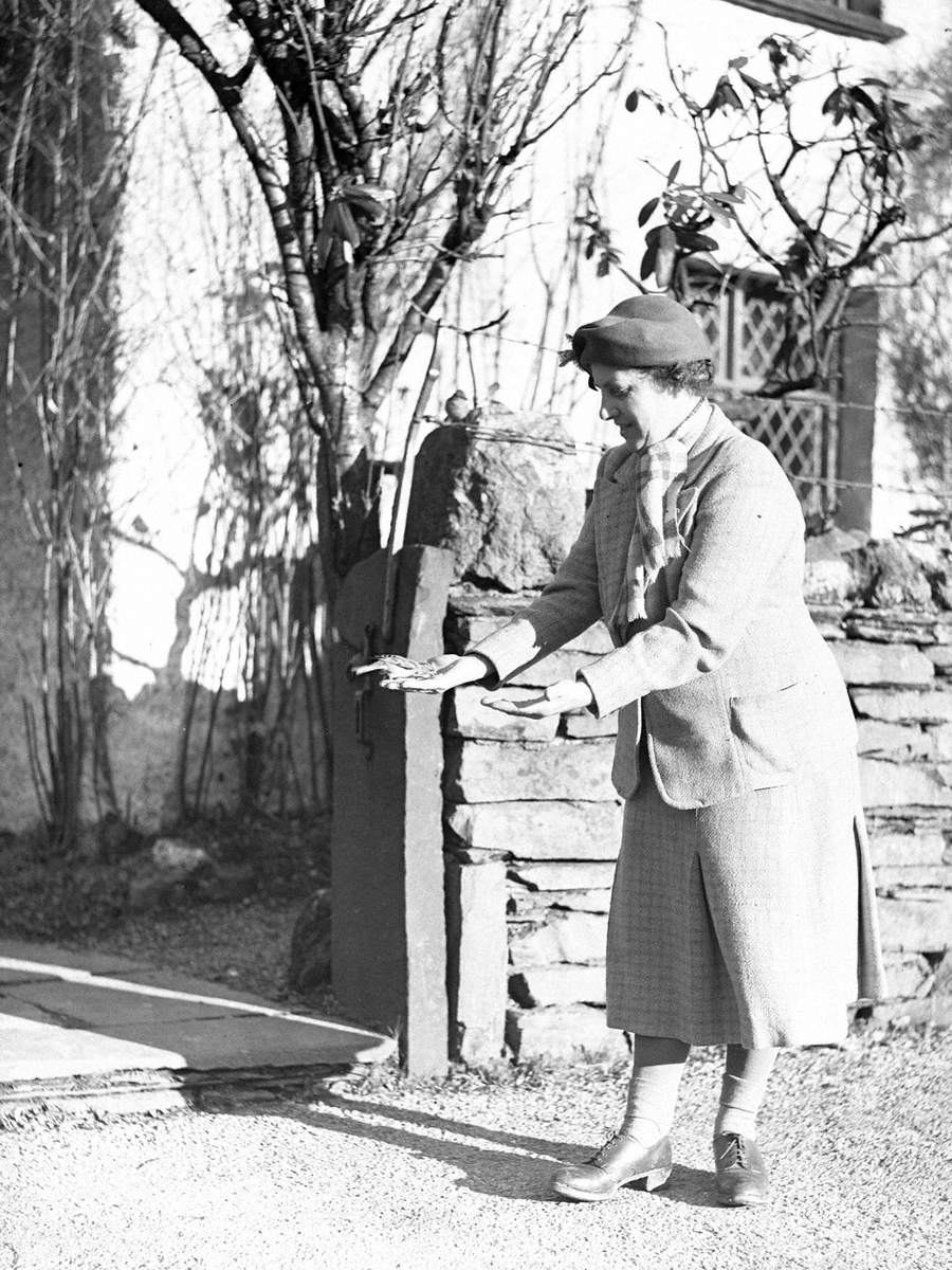 Feeding Birds at Dove Cottage