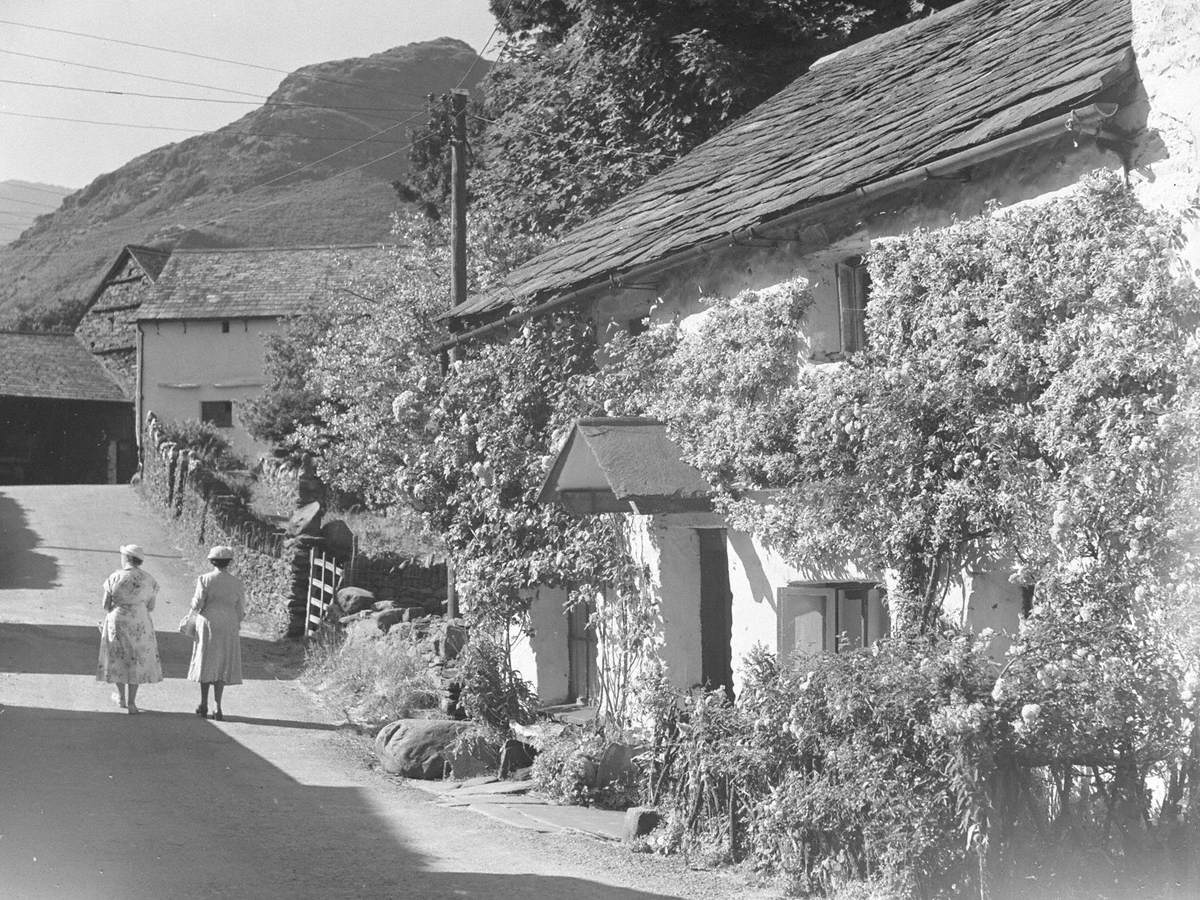 Road next to Cottage