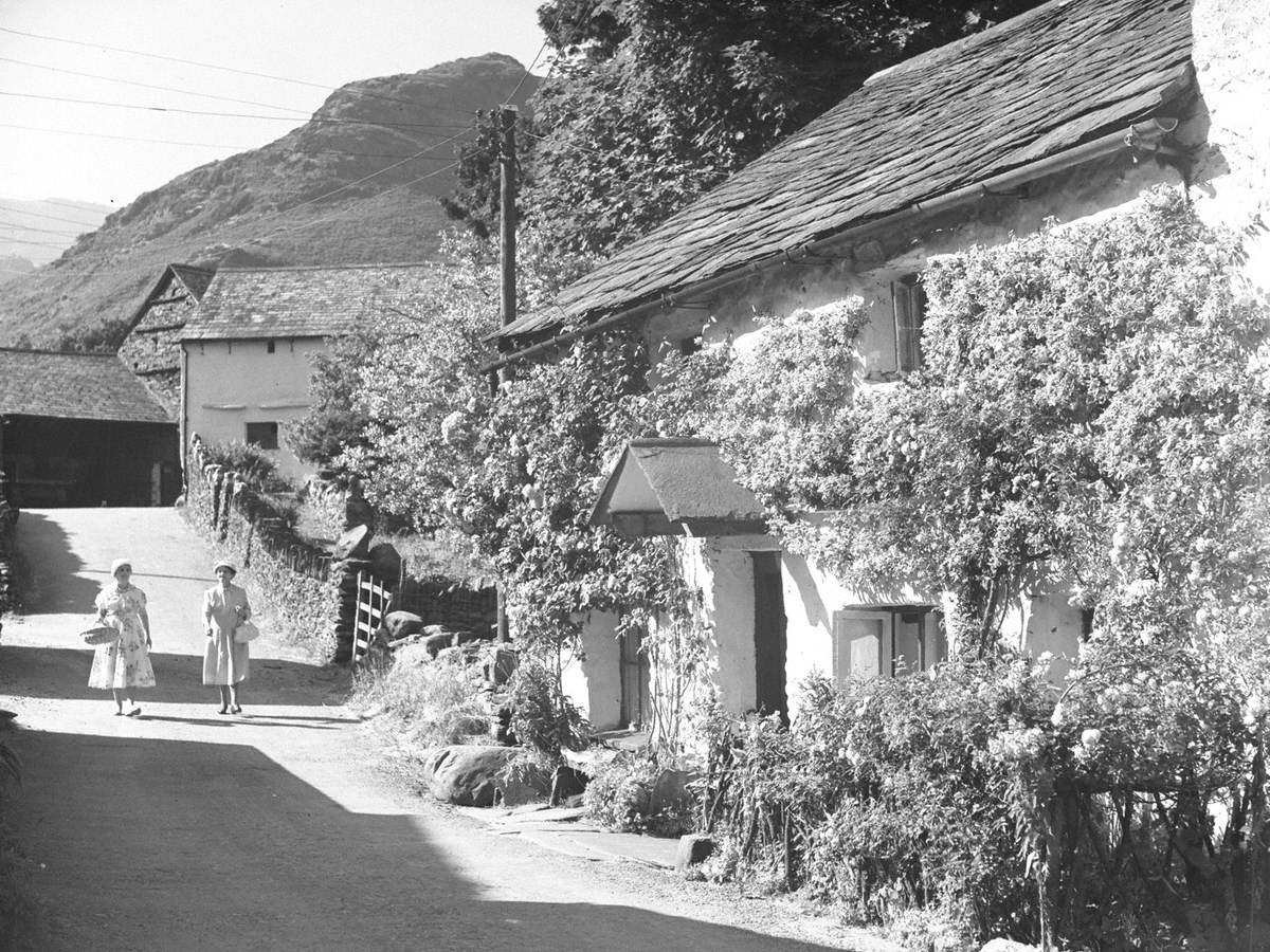 Road next to Cottage