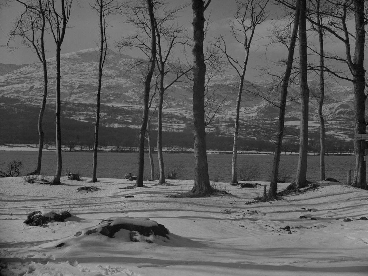 Winter Shoreline at Coniston Water