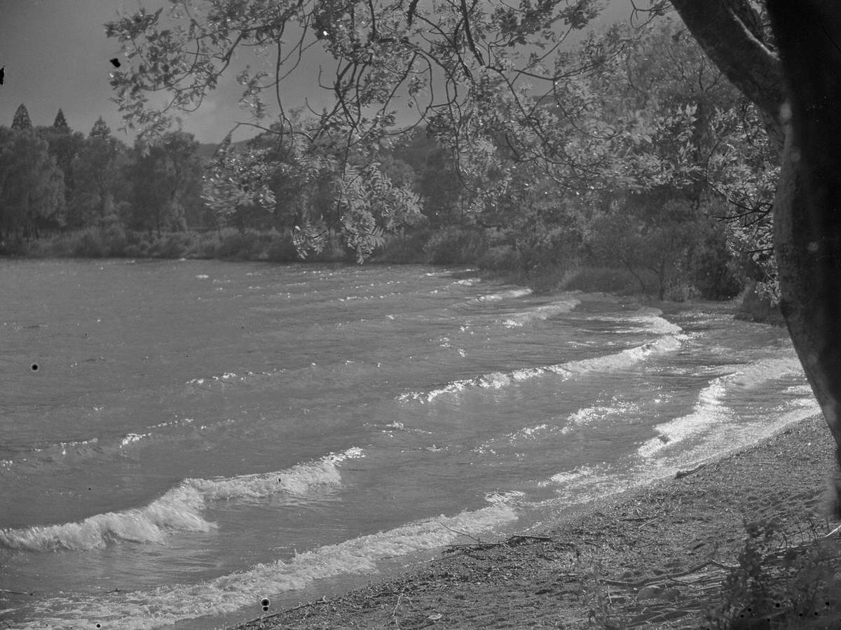 Waves on Coniston Water