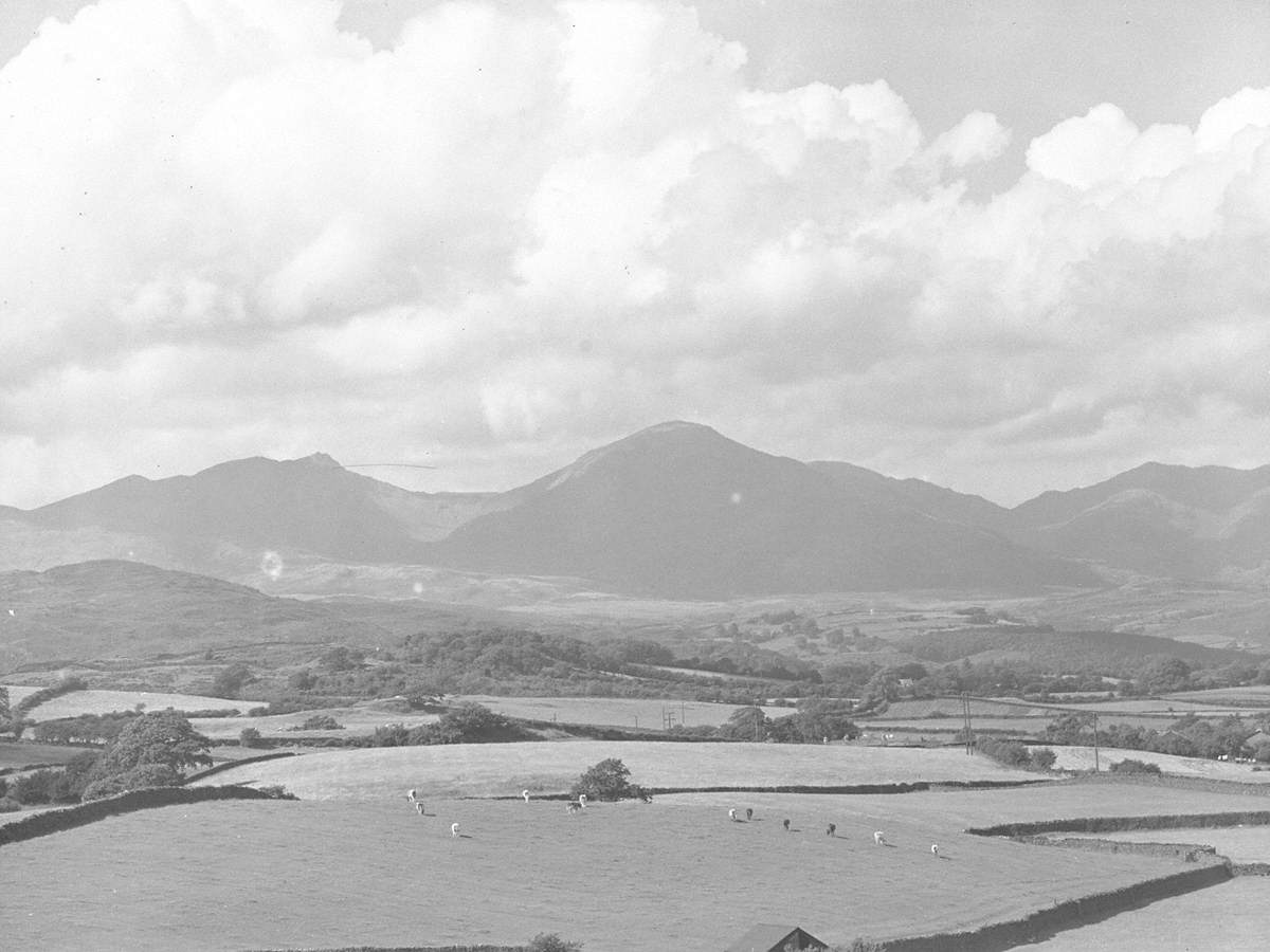 Fields and Fells