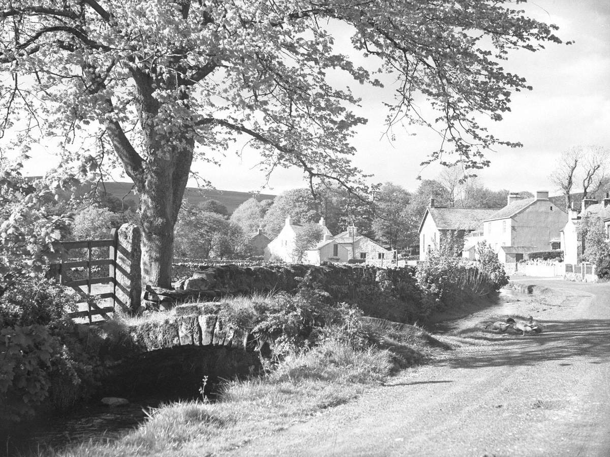 Ducks in the Road Morland and Orton