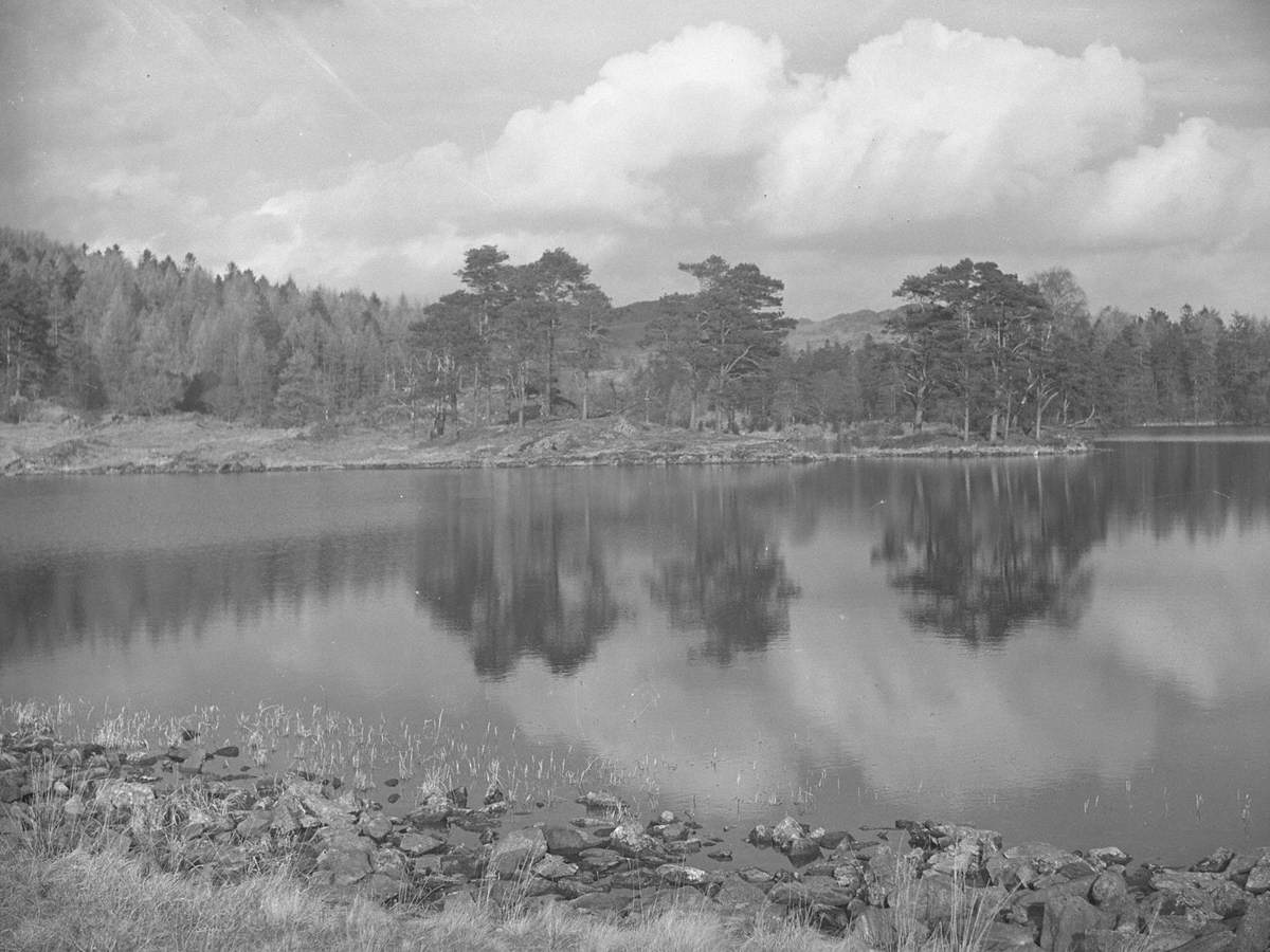 Tarn Hows Reflections