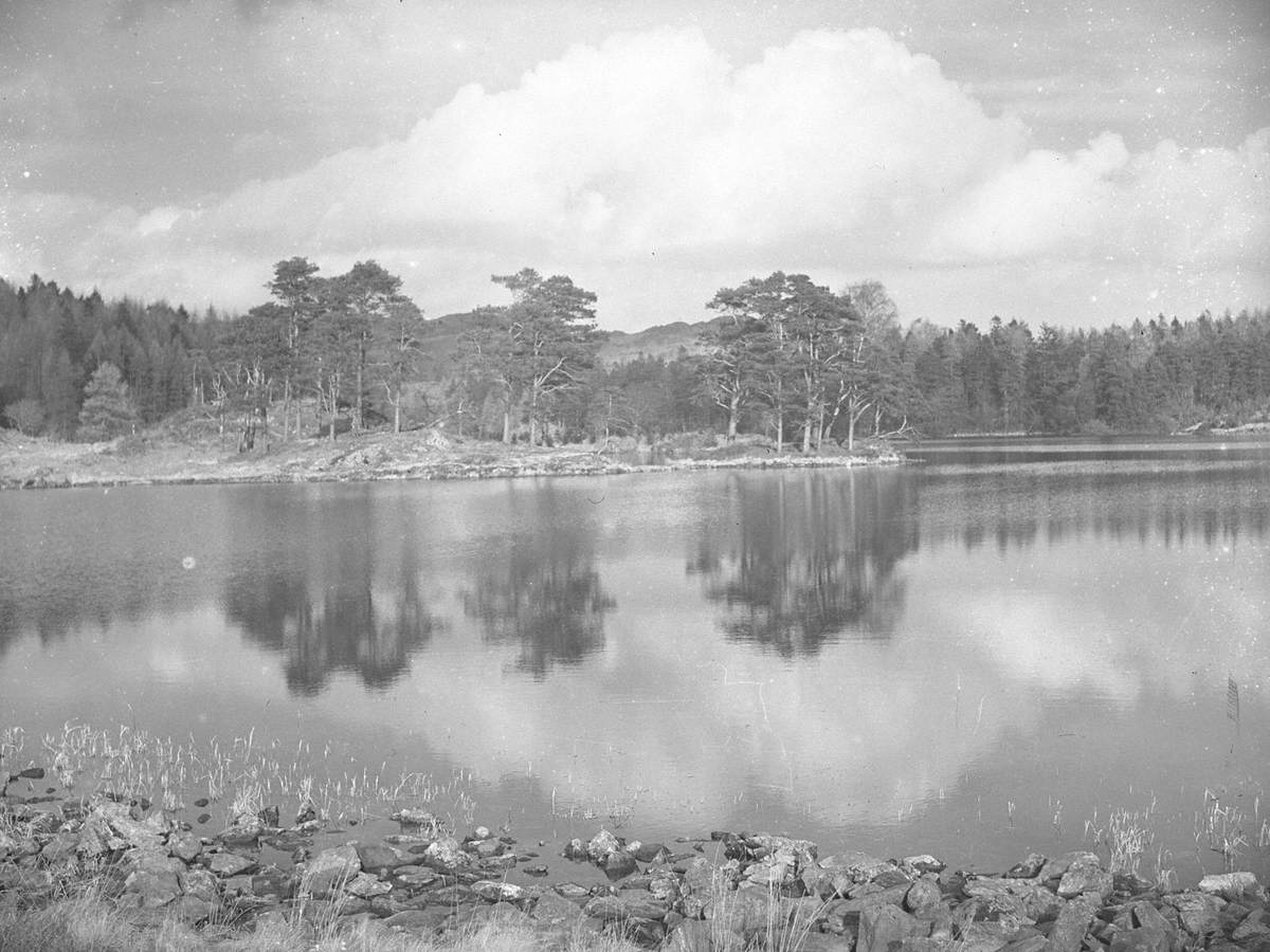 Tarn Hows Reflections