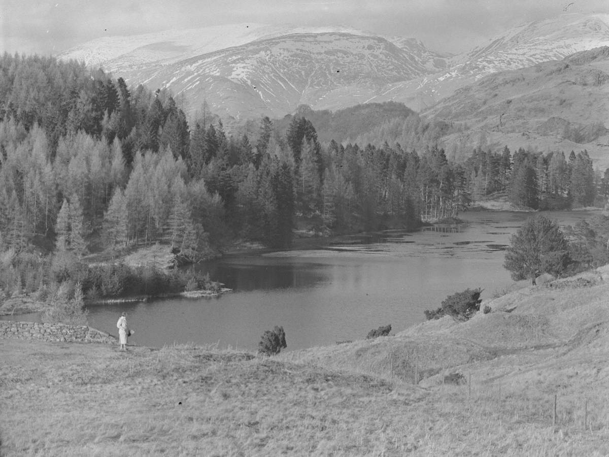 Tarn Hows and Fairfield