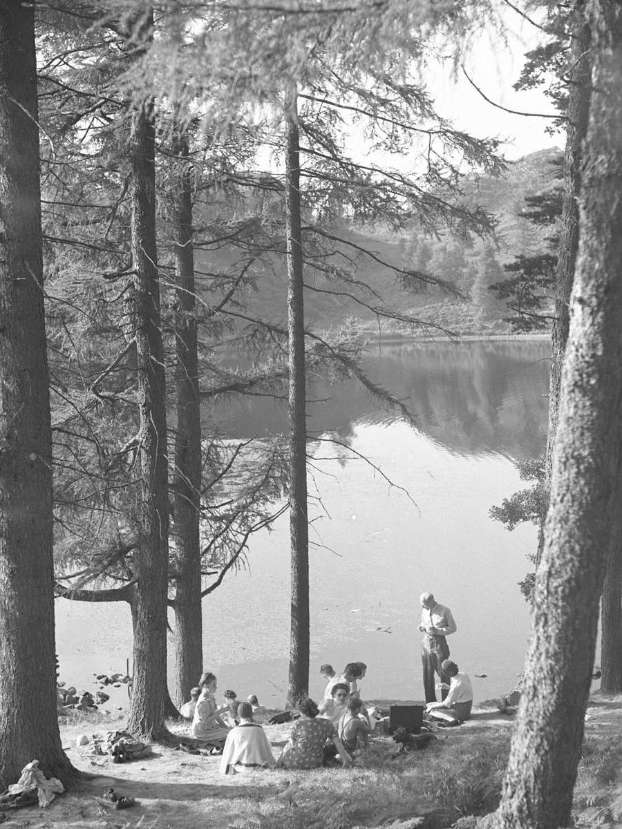 Picnic at Tarn Hows