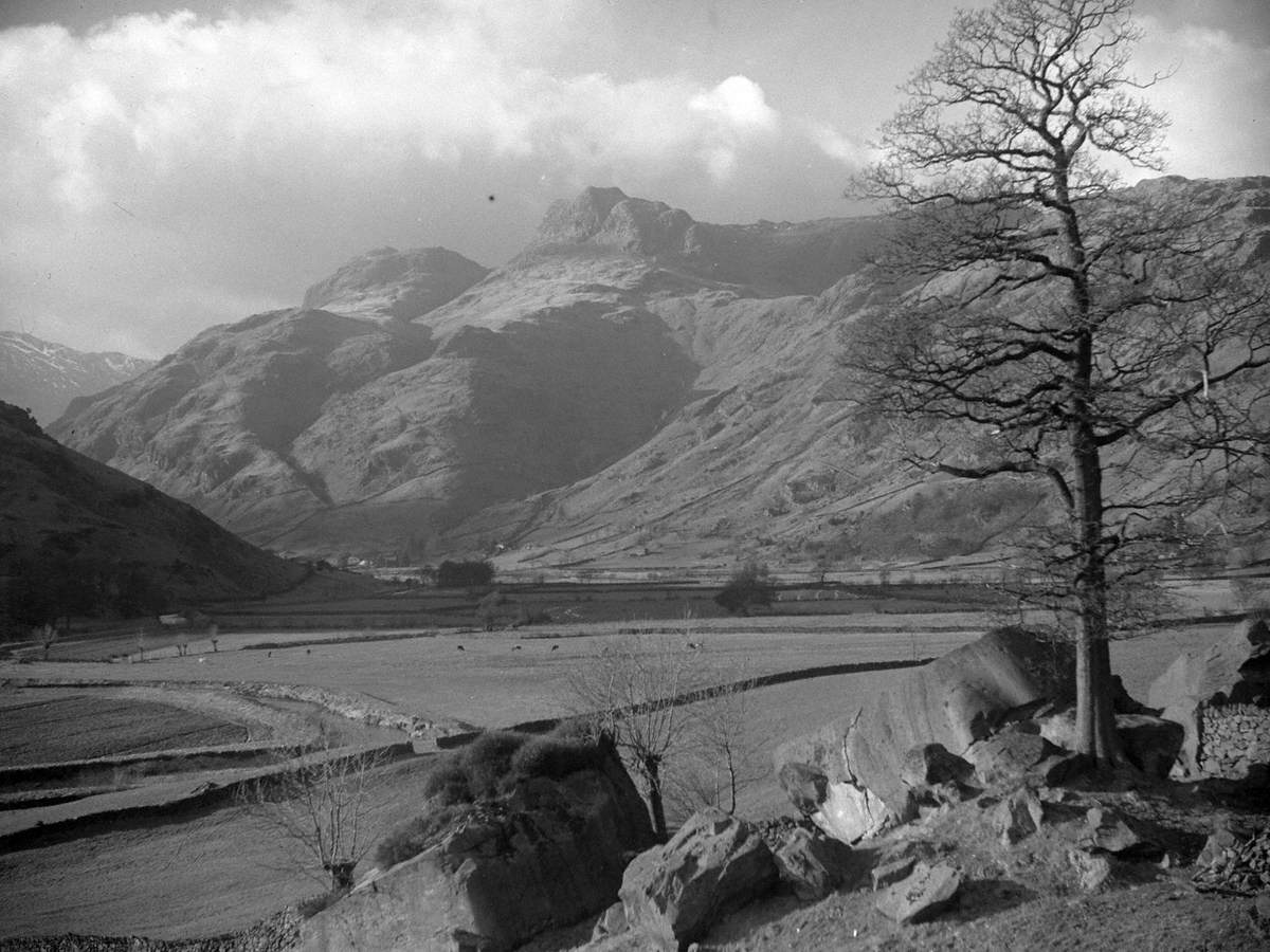 Rocks and Tree at the Langdales