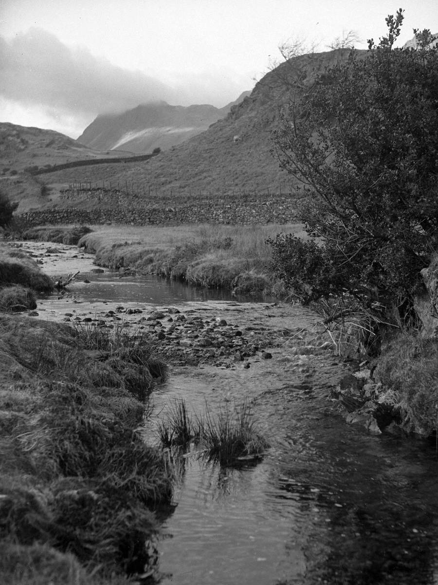 Stream in the Langdales