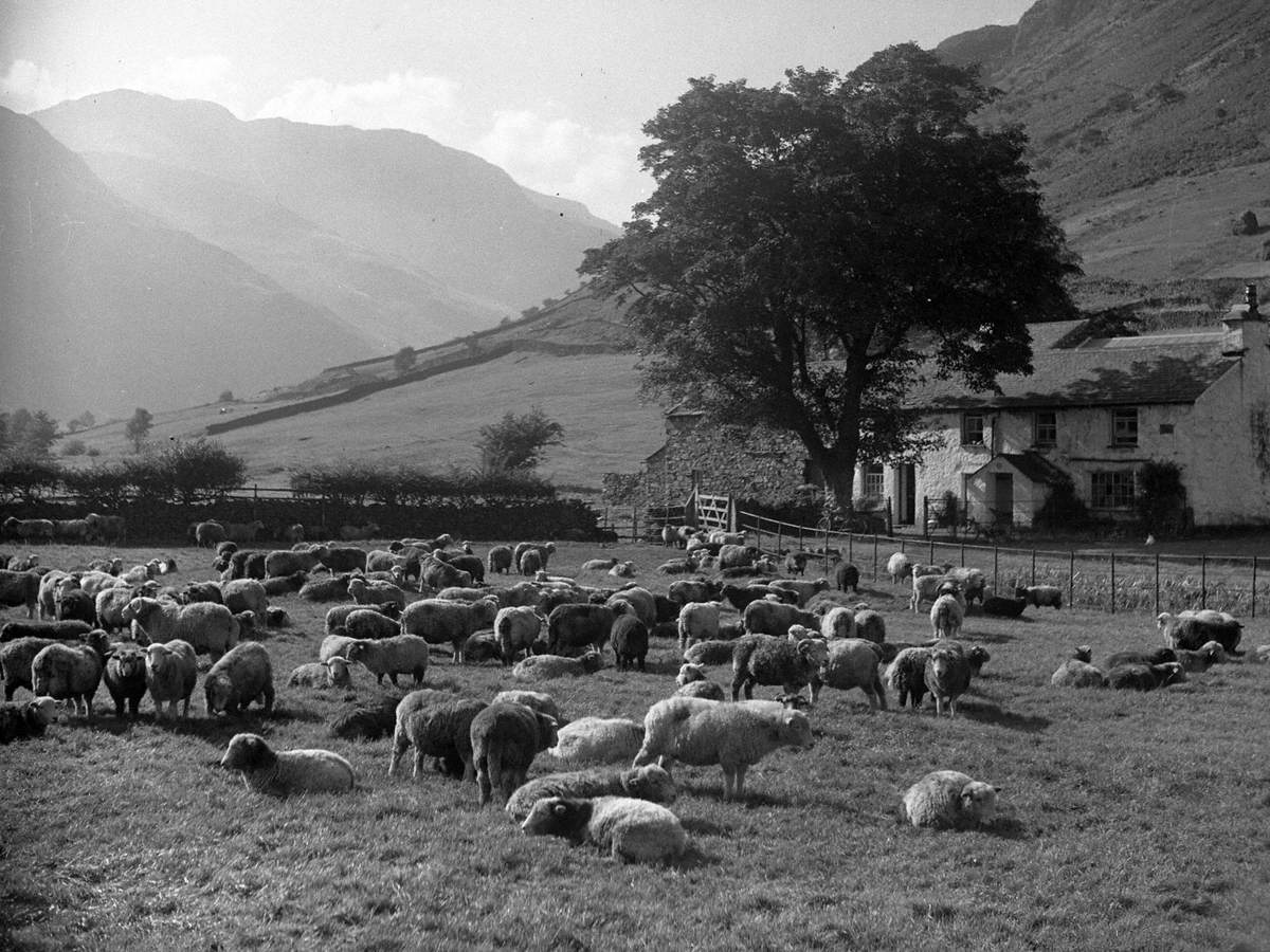Middle Fell Place, Great Langdale