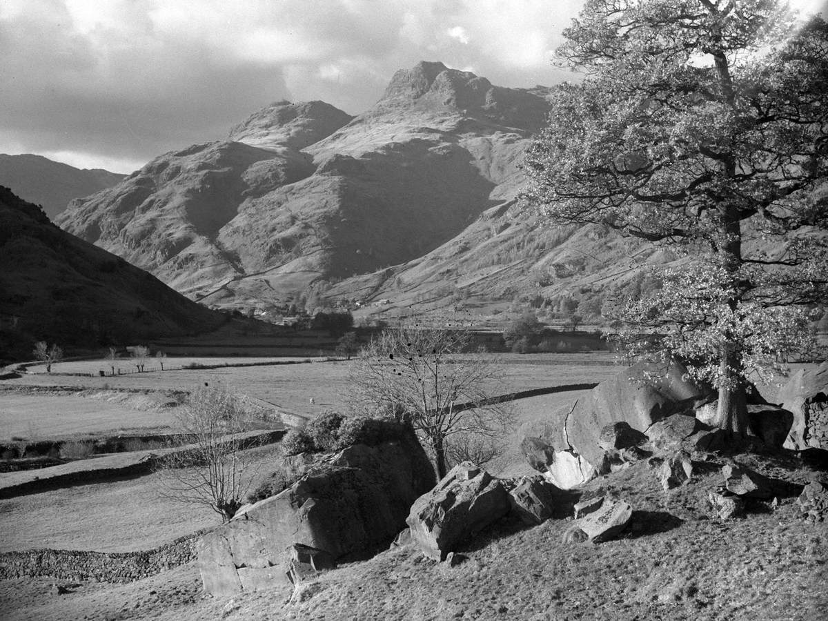 Rocks and Tree at the Langdales