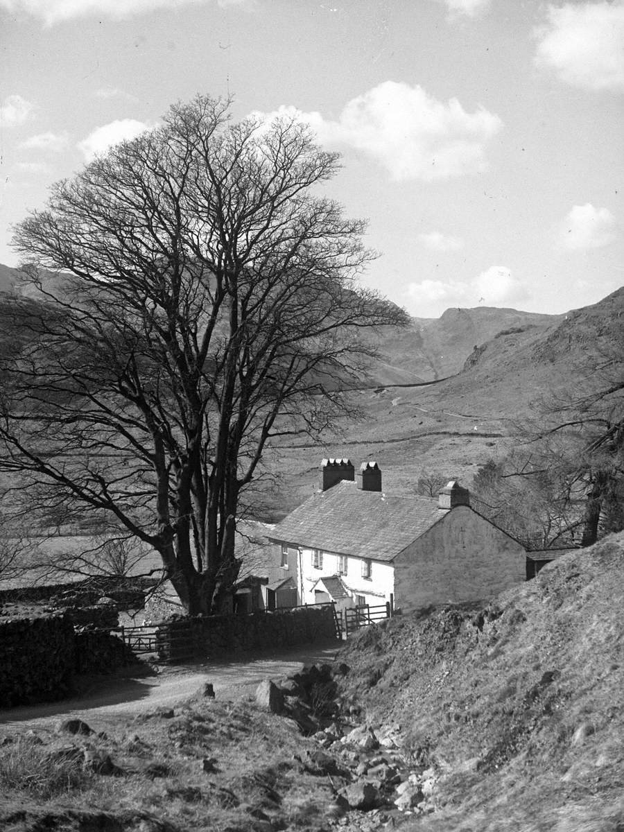 Blea Tarn Farm