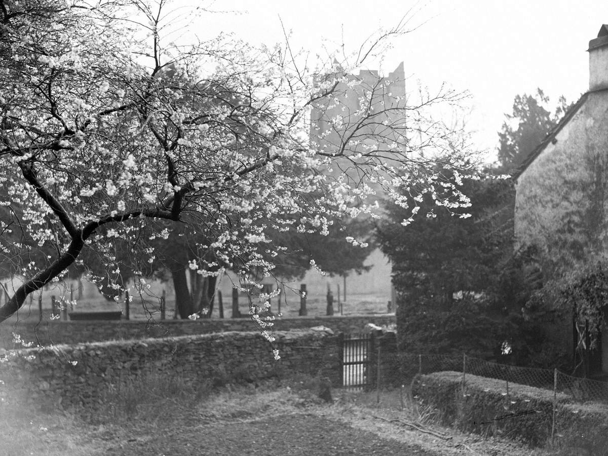 Blossom at Grasmere Church