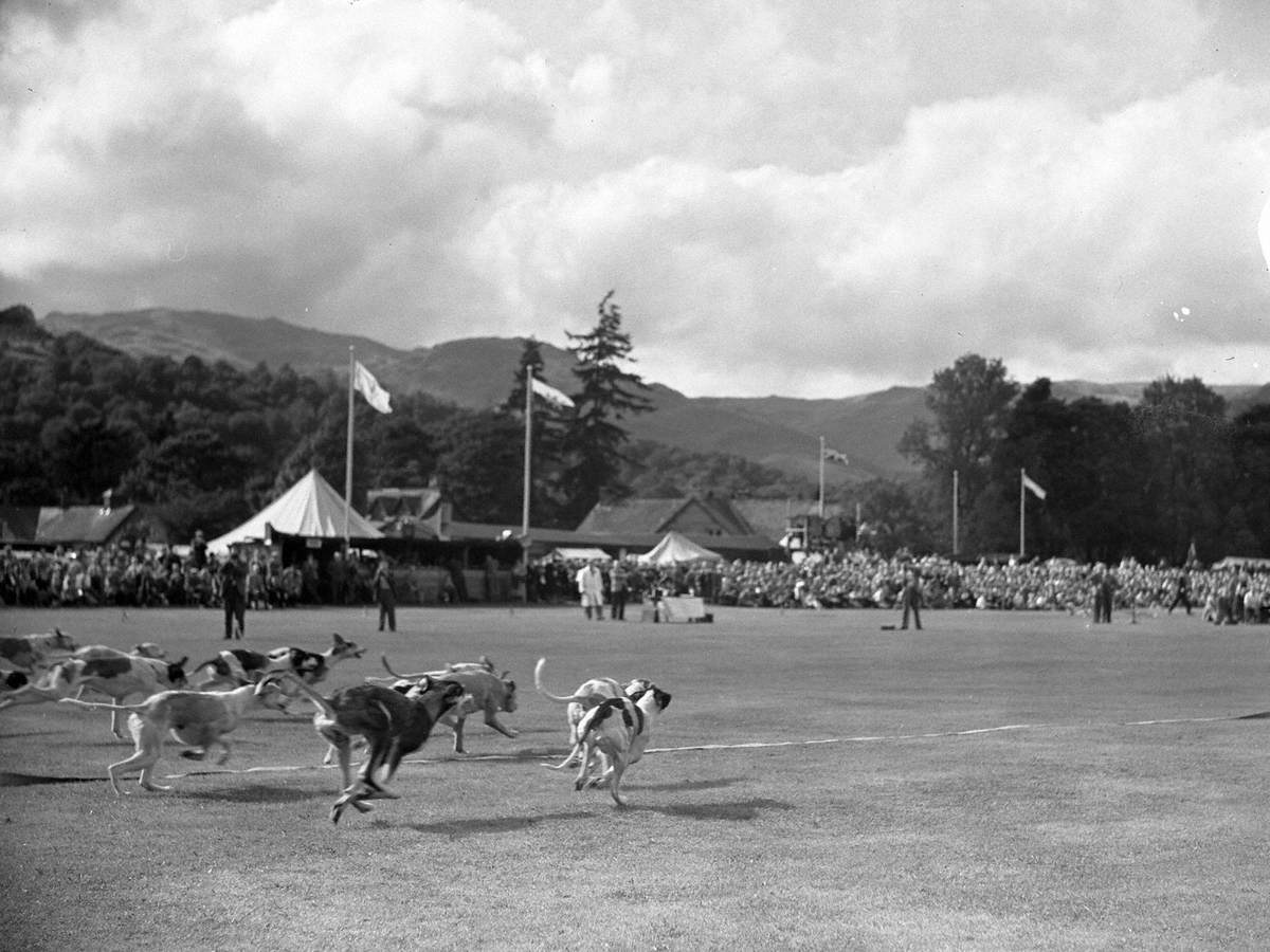 Hound Trail at Grasmere Sports