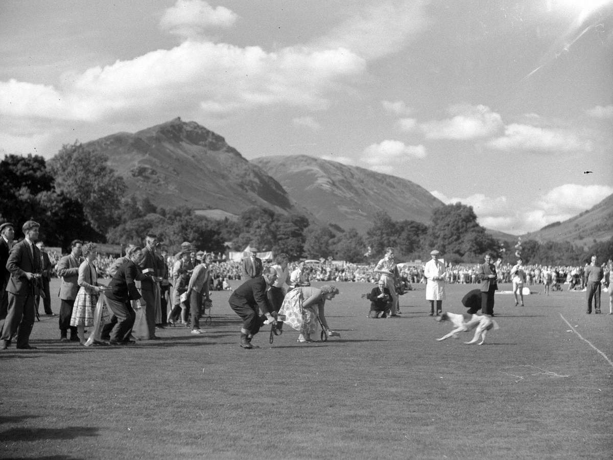 Hound Trail at Grasmere Sports