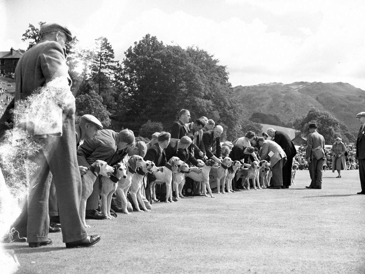 Hound Trail at Grasmere Sports