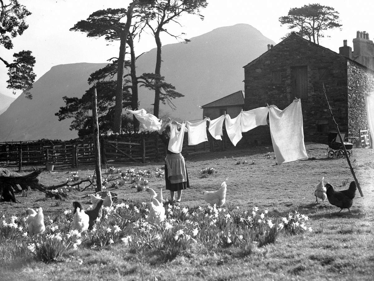 Farmer's Wife with Poultry