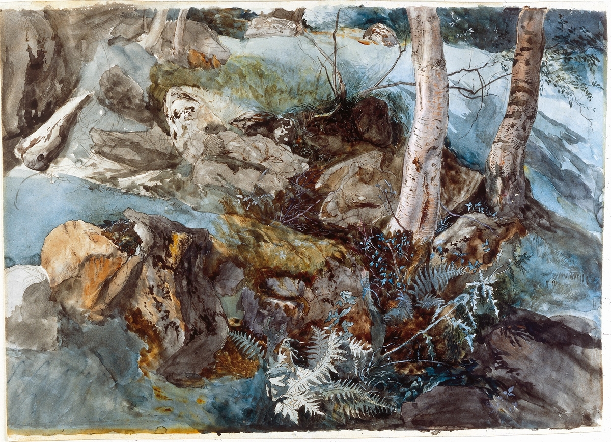 Study of Rocks and Ferns, Crossmount, Perthshire