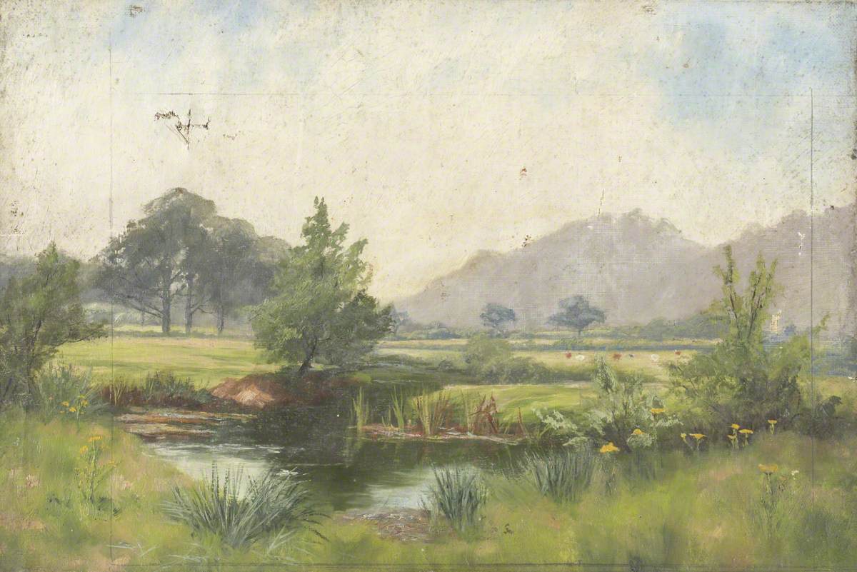 Landscape, Meadows, Pond