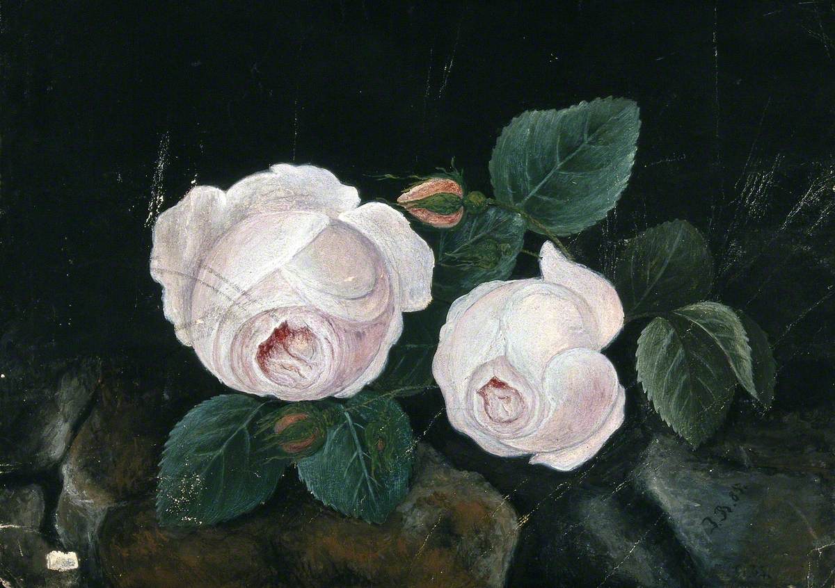 Two White Roses, in a Still Life