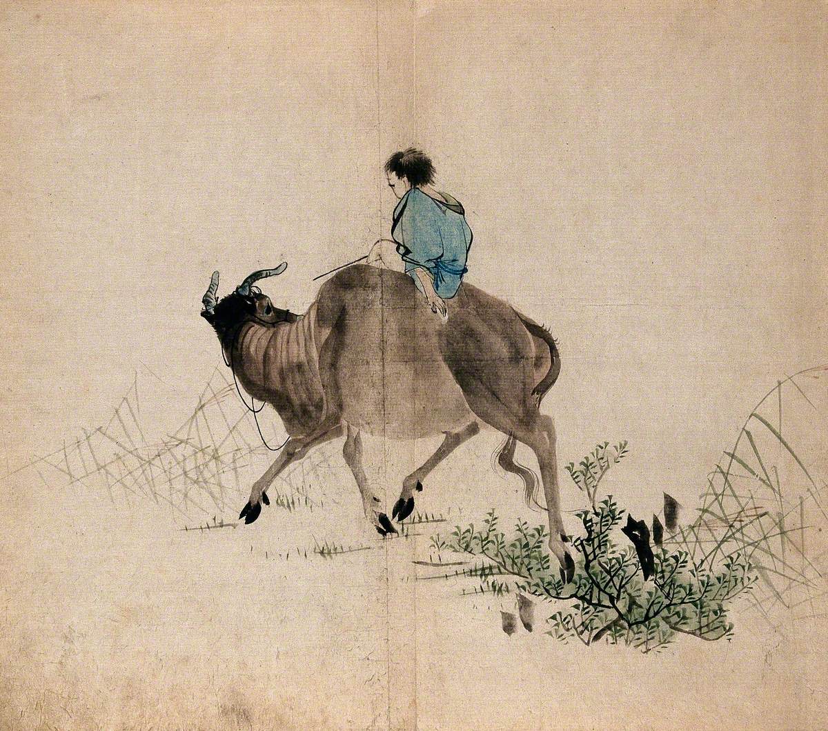 A Man Riding an Ox through Grass and Shrub Land