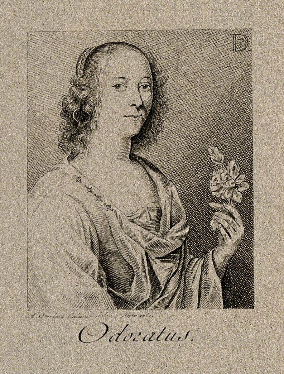 A Woman with a Flower; Representing the Sense of Smell