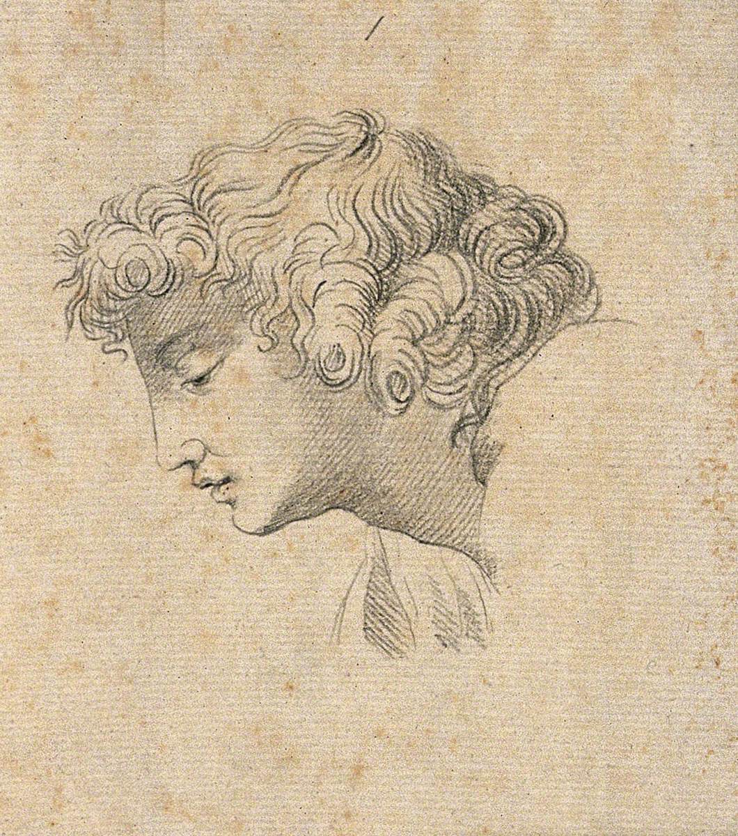An 'Ideal Head' Shown to Have Slight Idiosyncrasies in Physiognomy