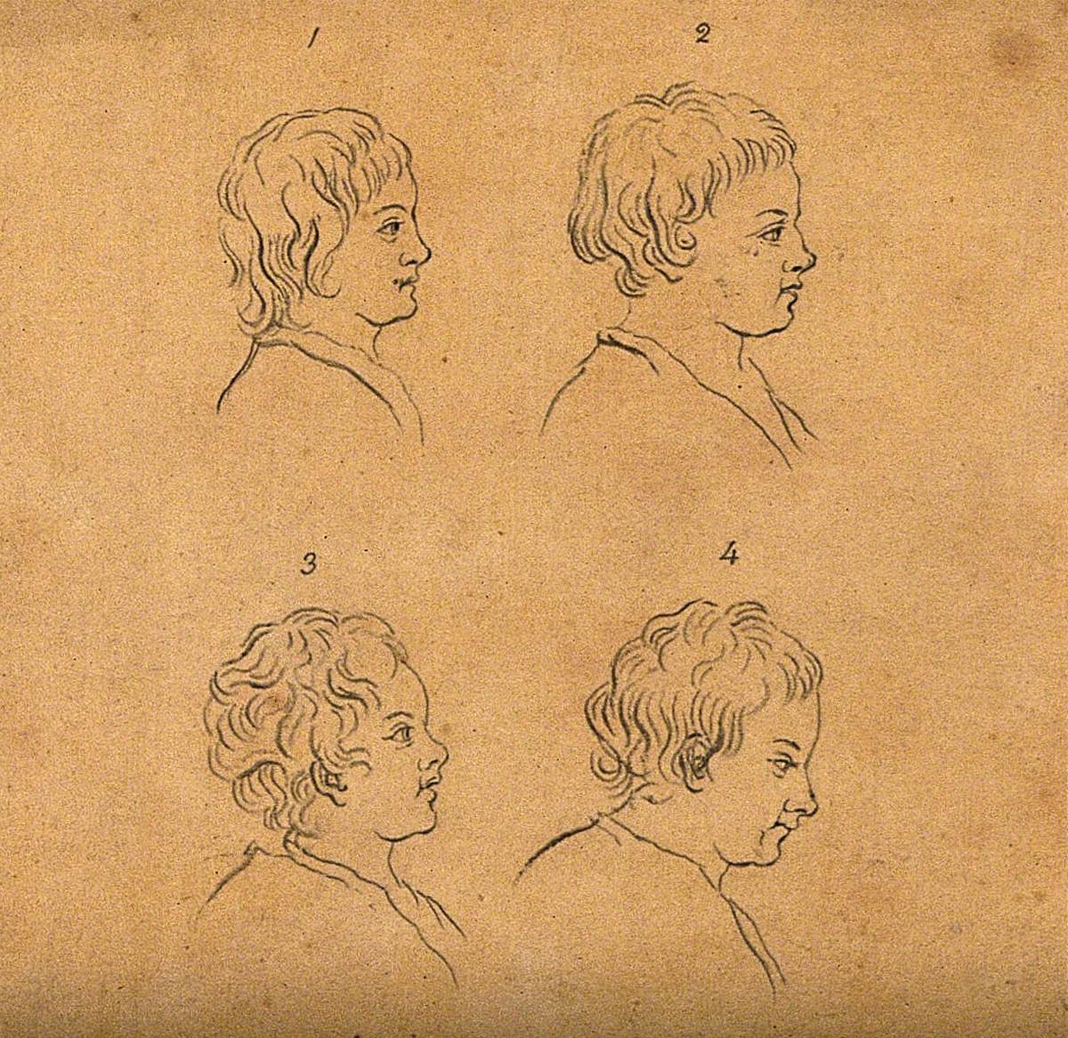 Four Heads of Boys