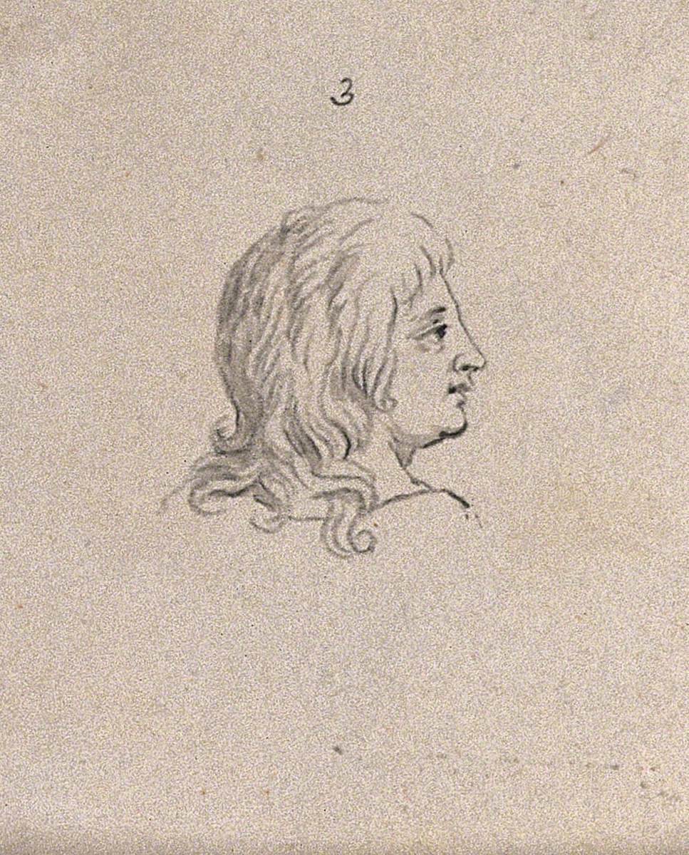 An Ideal Human Head Looking at Something Distant