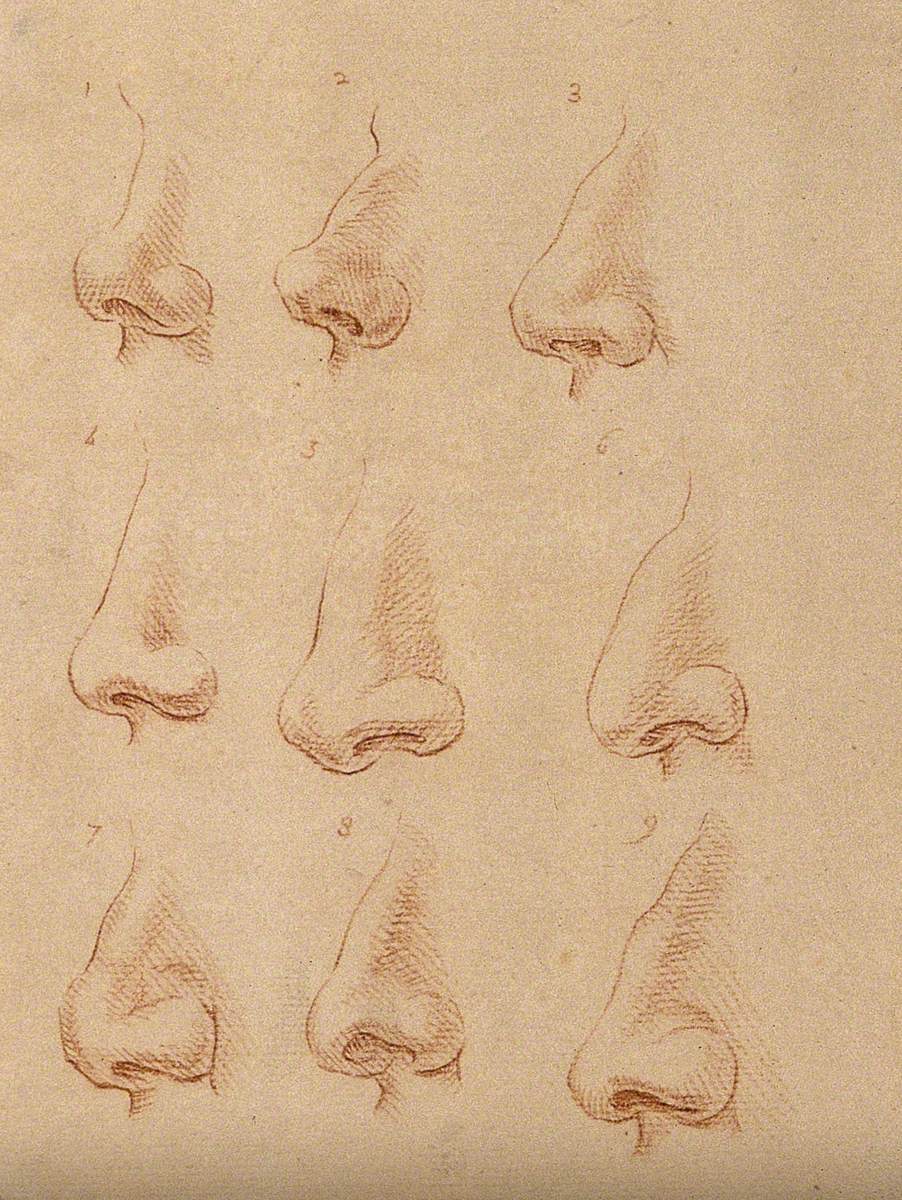 Nine Noses