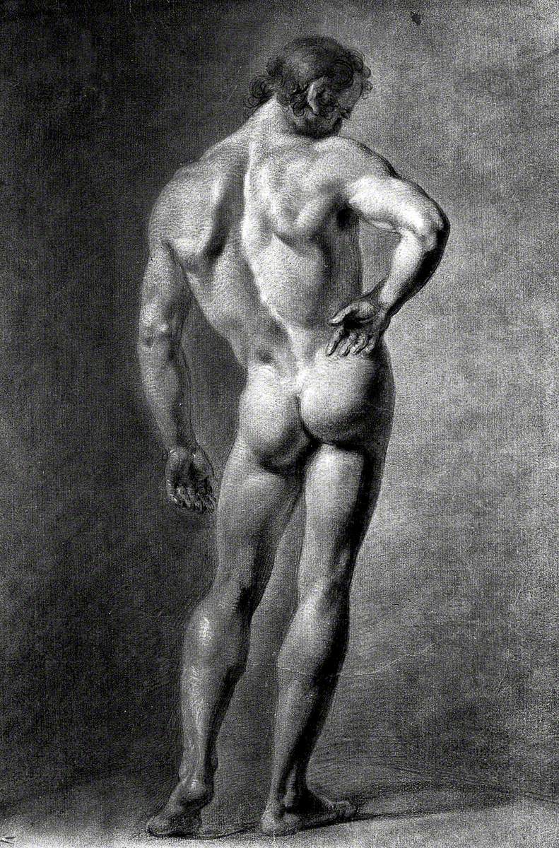 A Standing Male Nude Seen from Behind