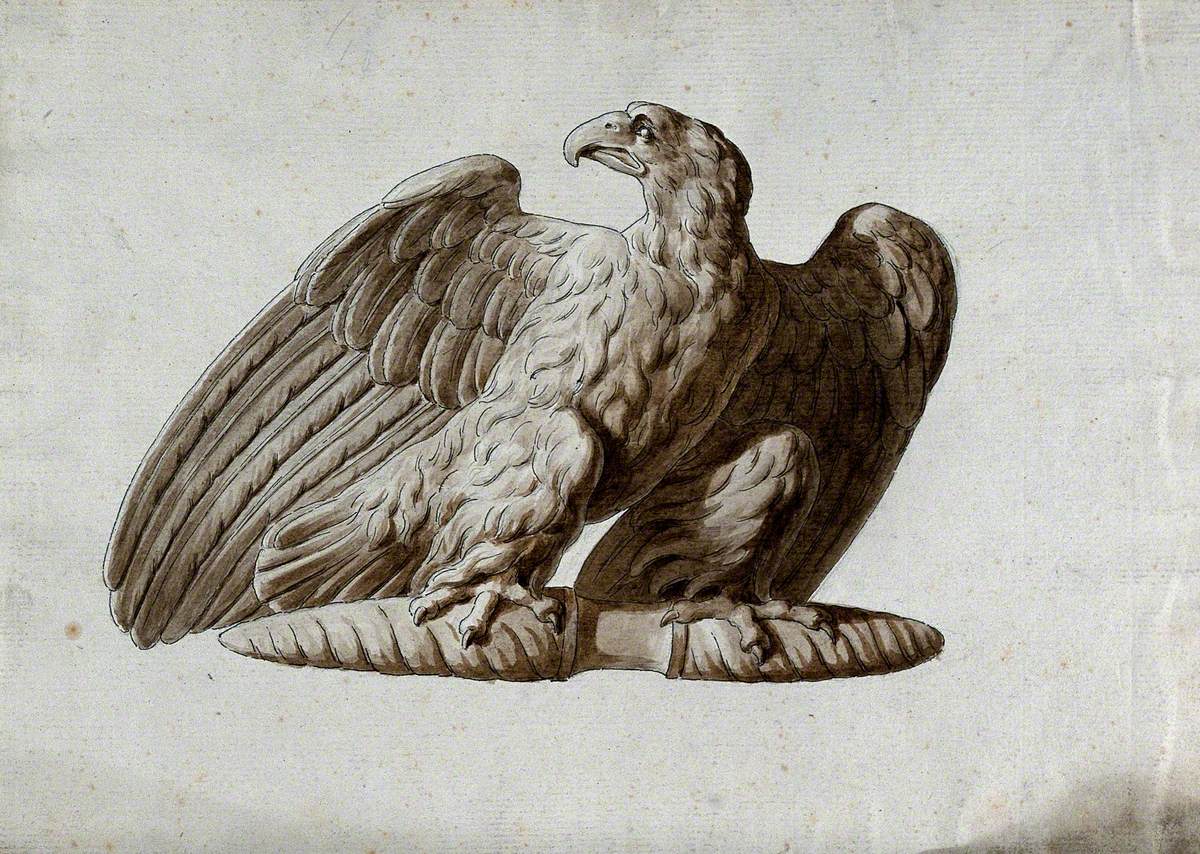 An Imperial Eagle