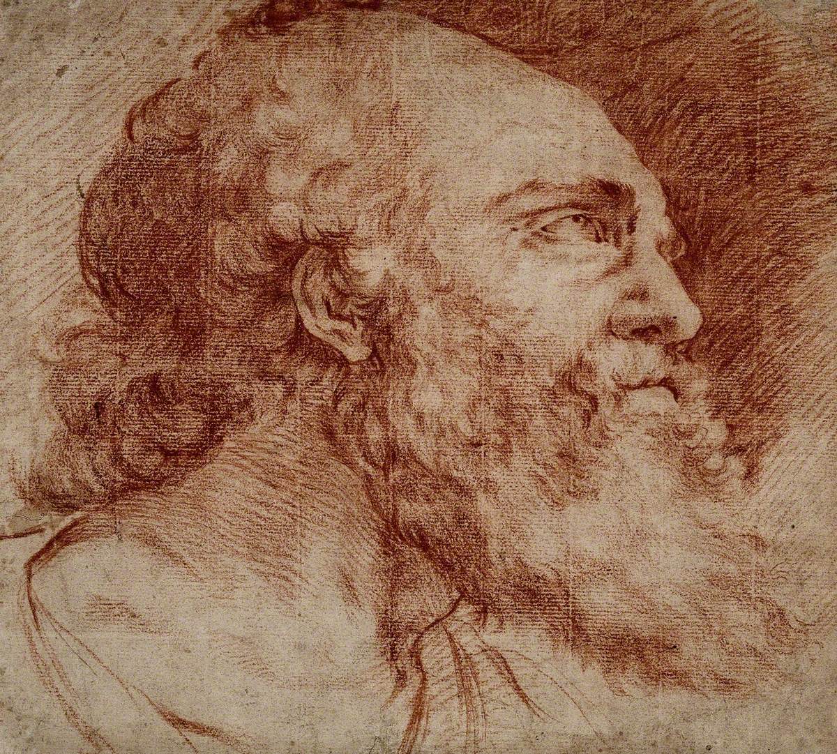 Head of a Bearded Man Looking Up