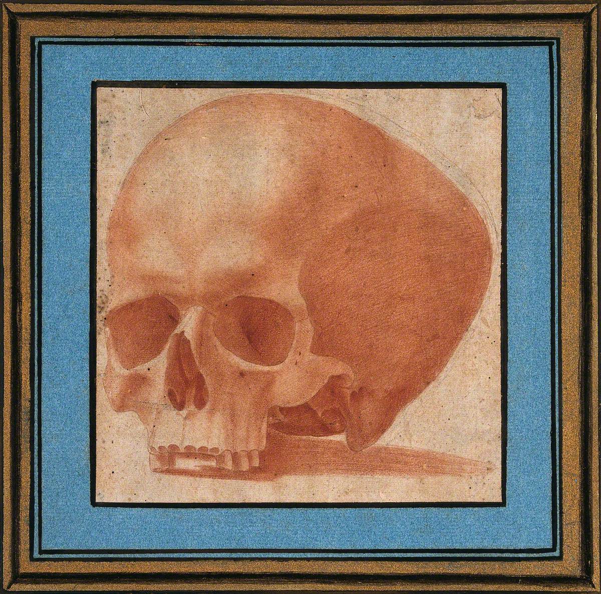 A Skull