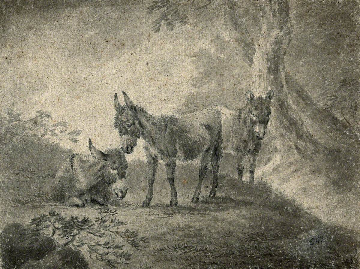 Three Donkeys Standing Next to a Tree in a Forest