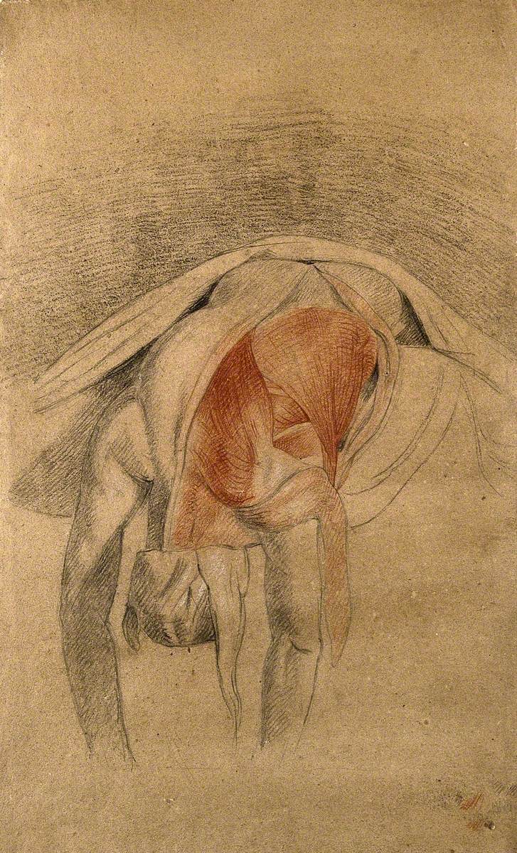 Écorché Cadaver Lying Prone, with Arms and Head Hanging Down, Showing the Muscles of the Back and Shoulder